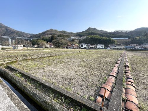 宅地から離れた農地　地目：田