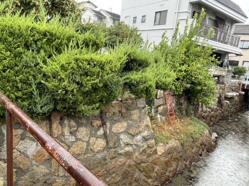 南西側の水路(外観)