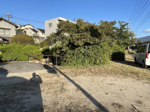 南西側公道に添って植え込みがあり公道からの音を和らげています。(外観)