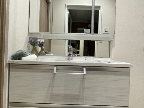 使いやすい引き出し型の収納のあるシャンプードレッサー