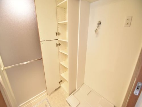 洗濯パンの横にもうれしい収納有！