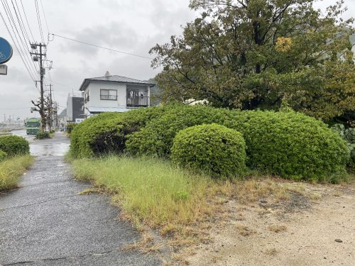 黄金山通りは歩道も幅広く取ってあります。(外観)
