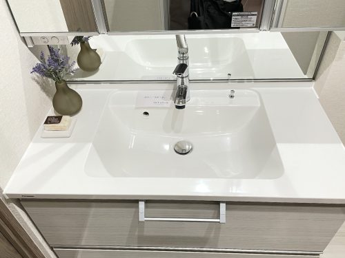 小物が置けるカウンターに広いボウル