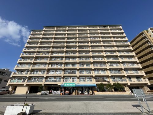 総戸数174戸の１２階建マンション築５５年(外観)