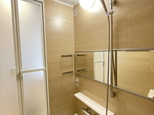 横長のミラーにワンタッチで高さ調節しやすいシャワー(風呂)