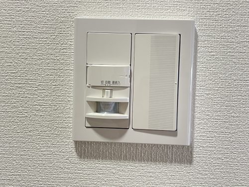日没が早い日も、人感センサーで玄関入るとパッと明るくなります(玄関)